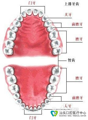 2025澳门原料大全