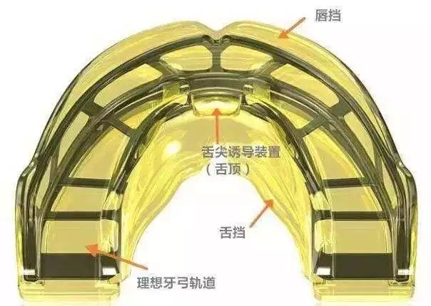 2025澳门原料大全