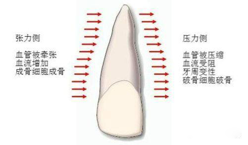 2025澳门原料大全