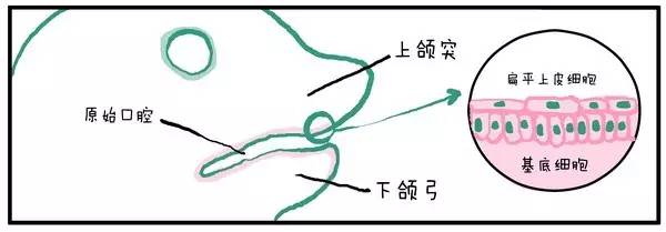 2025澳门原料大全