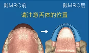 2025澳门原料大全