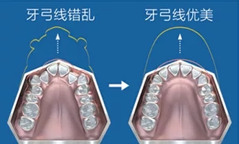 2025澳门原料大全