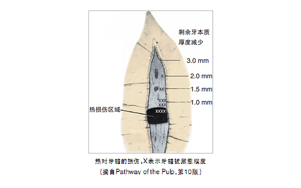 2025澳门原料大全