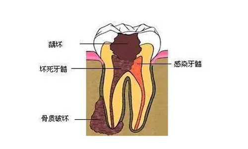 2025澳门原料大全