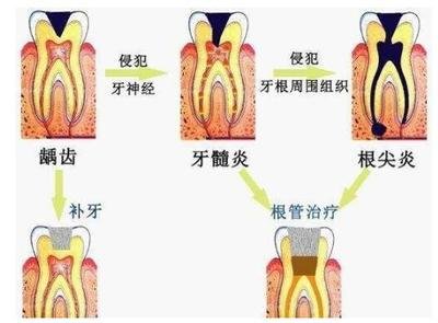 2025澳门原料大全