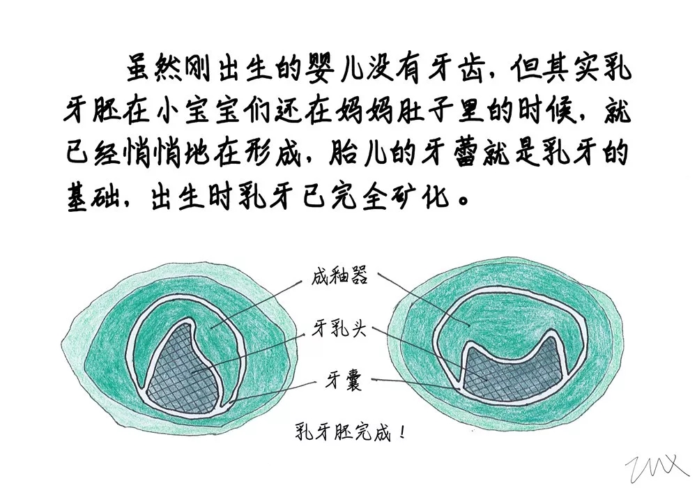 2025澳门原料大全