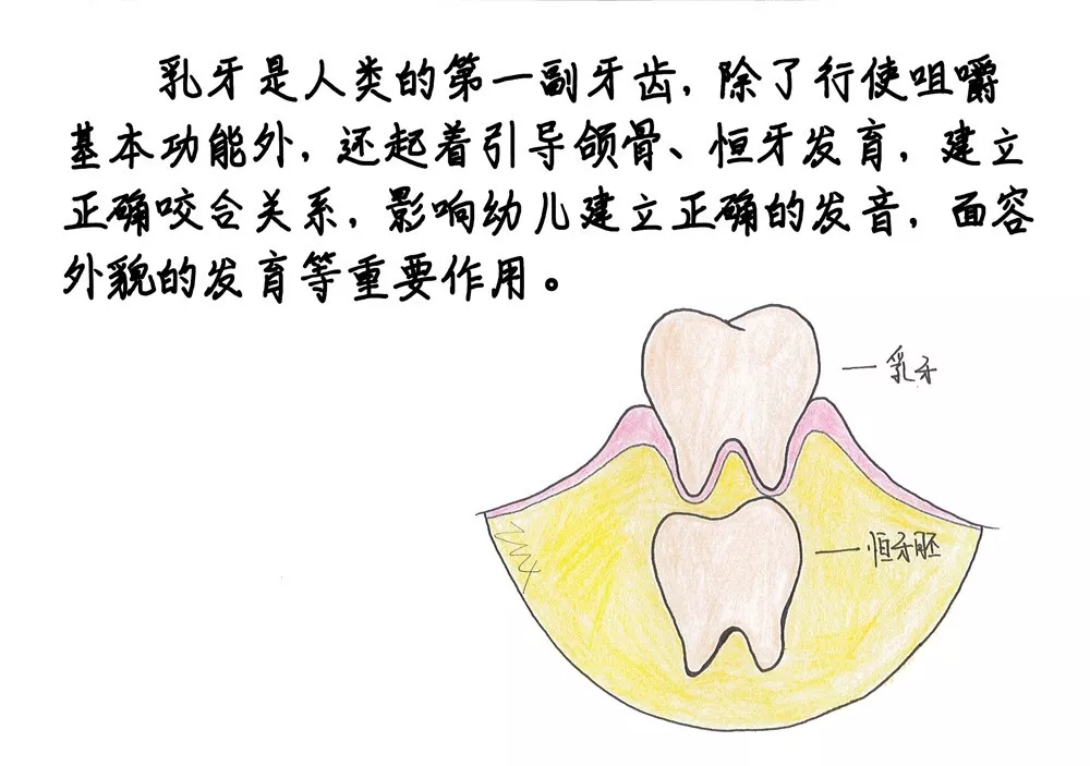 2025澳门原料大全