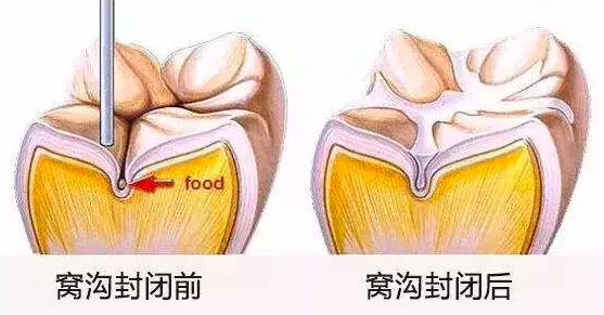 2025澳门原料大全