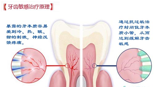 2025澳门原料大全