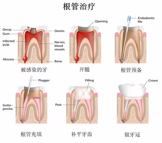 2025澳门原料大全