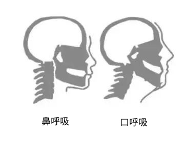 2025澳门原料大全